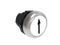 Lovato LPCB1158 P.B. FLUSH PLASTIC MOMENT. W/ARROW UP/DOWN WHITE