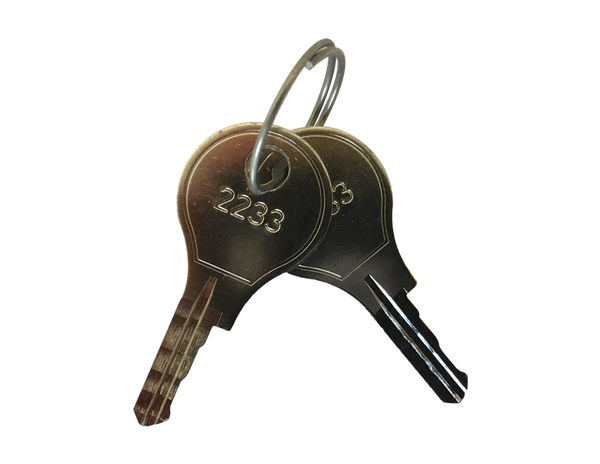 Saginaw SCE-2233X Key (Set of 2) Replacement For Mini 1/4-Turn